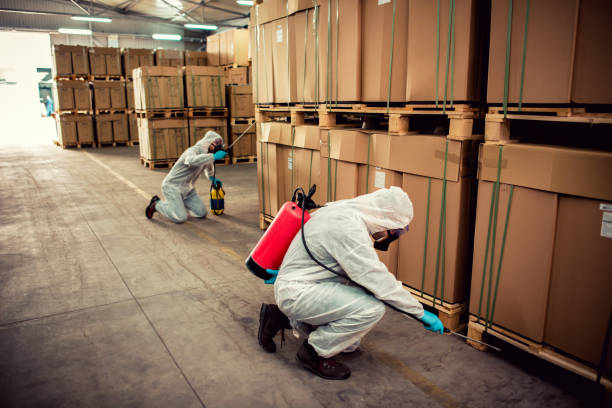 Best Local Pest Control Services  in Greenwood, IN
