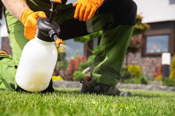 Best Pest Control Near Me  in Greenwood, IN