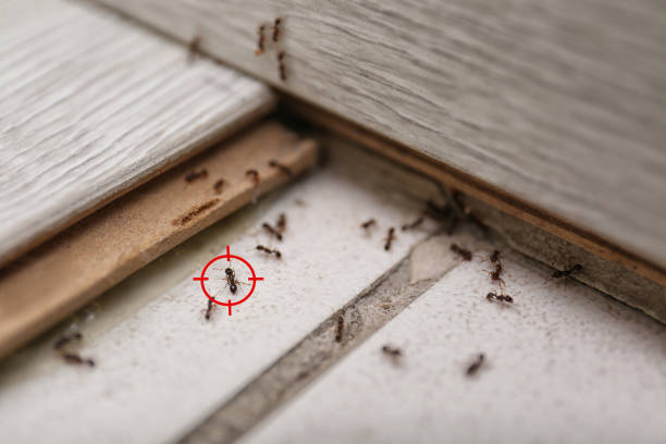 Greenwood, IN Pest Control Company