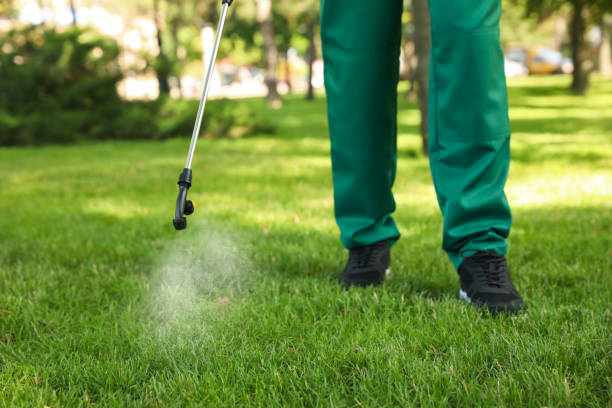 Best Flea Control Services  in Greenwood, IN