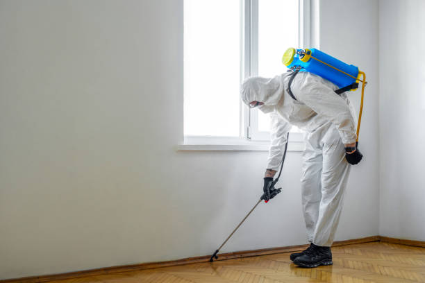 Best Pest Prevention Services  in Greenwood, IN