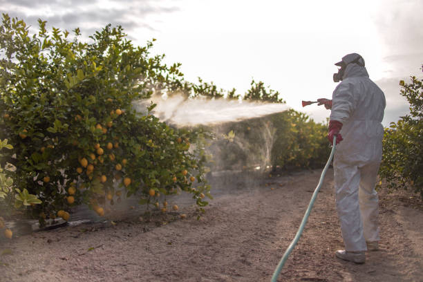 Best Best Pest Control Companies  in Greenwood, IN