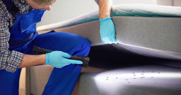 Best Termite Control Services  in Greenwood, IN