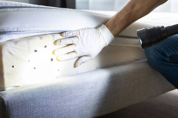 Best Pest Prevention Services  in Greenwood, IN