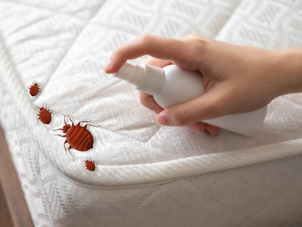 Best Best Pest Control Companies  in Greenwood, IN
