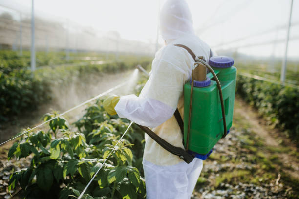 Best Cockroach Control Services  in Greenwood, IN